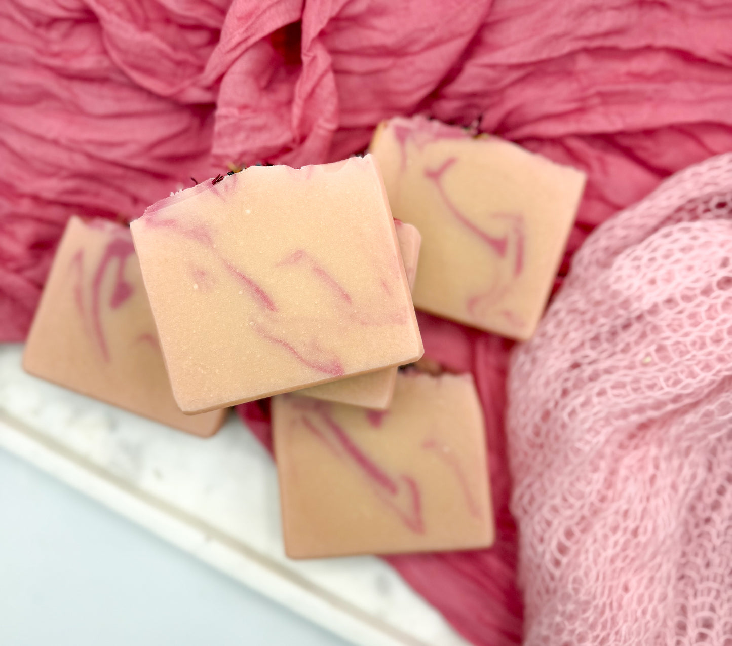 Cactus Flower + Aloe